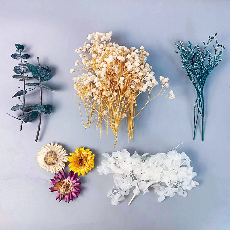 1pack Multifarious Dried Flowe - огляд і ціна Craft Embellishment